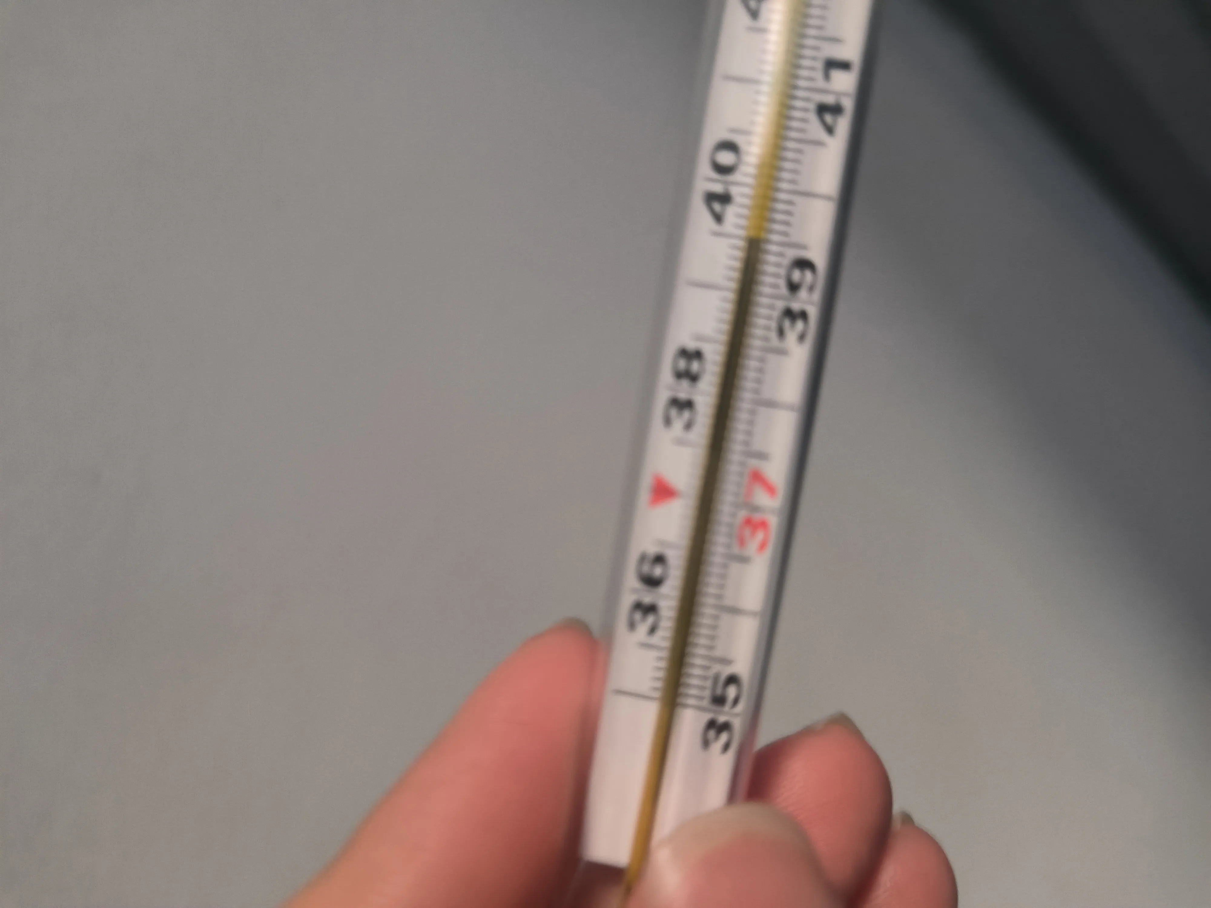 当时的体温 当时的体温